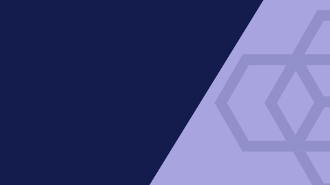 Skills Academy