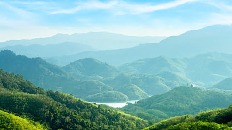 landscape