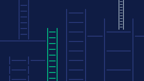 Careers ladder graphic