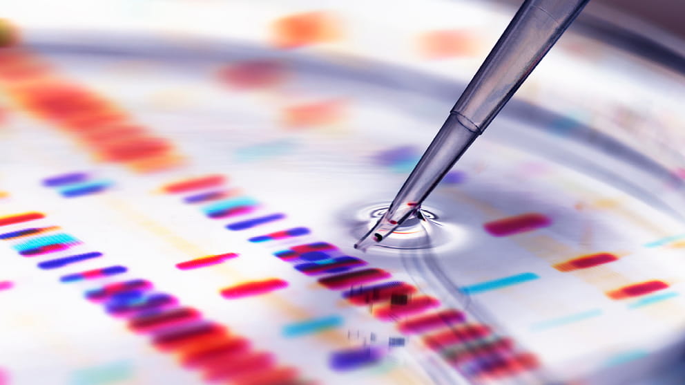 Healthcare M&A | Taylor Wessing