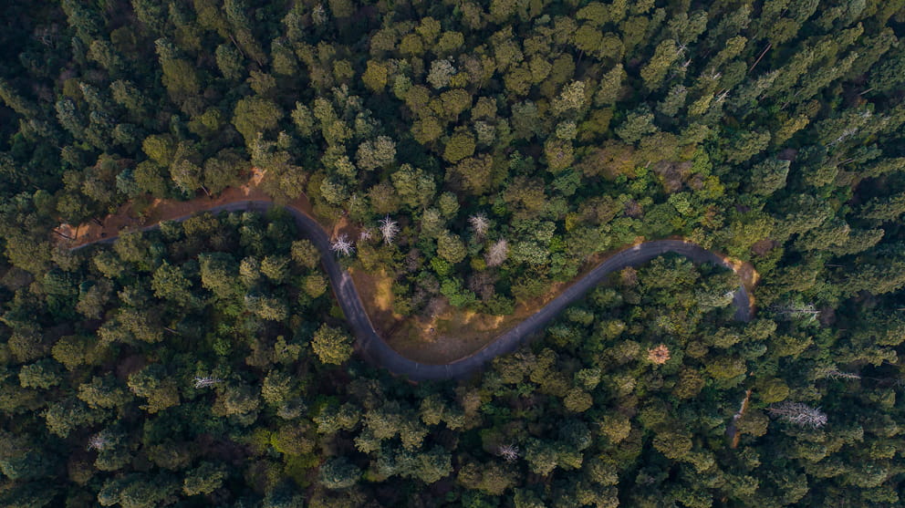 Glass.Mapper.Sc.Fields.Image?.Alt