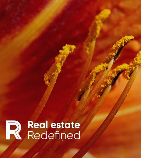 Real Estate Redefined: Hybrid Strategy