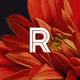 Real estate redefined