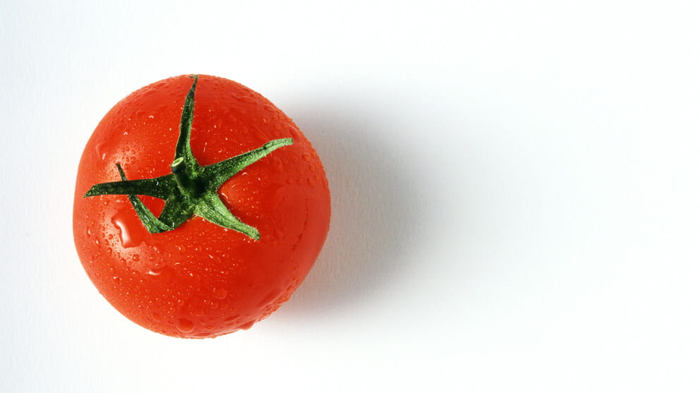 Tomato