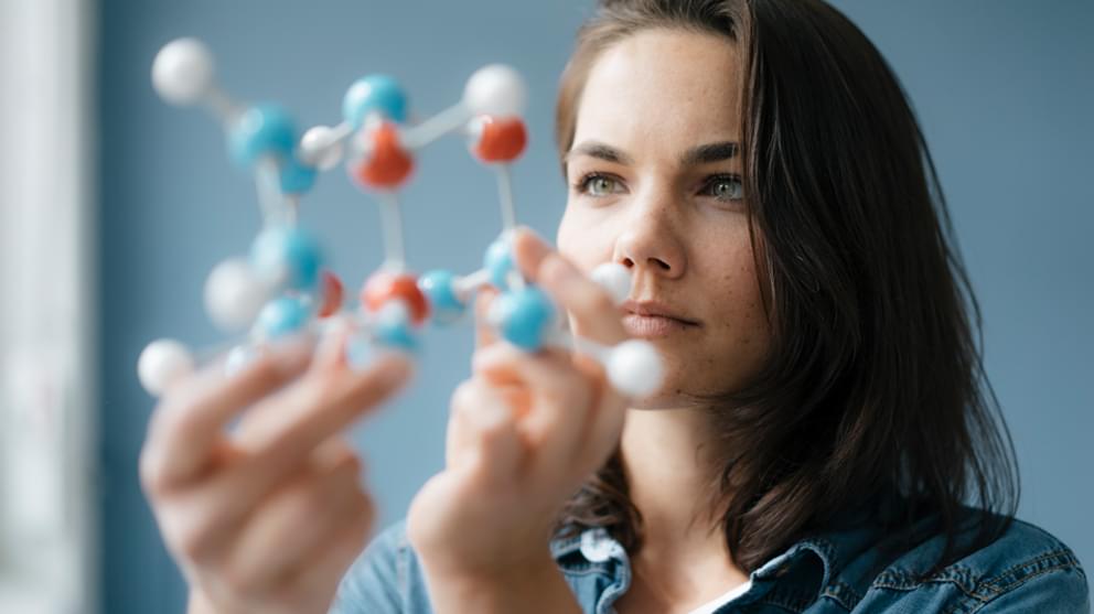Scientist studying molecule model