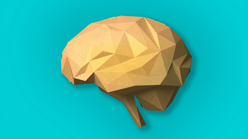 Paper craft brain
