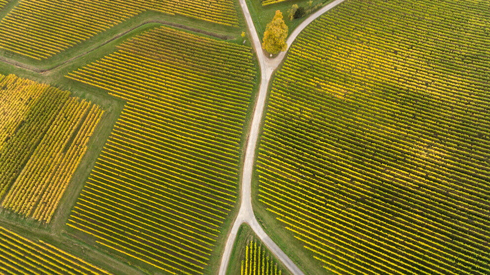 Glass.Mapper.Sc.Fields.Image?.Alt