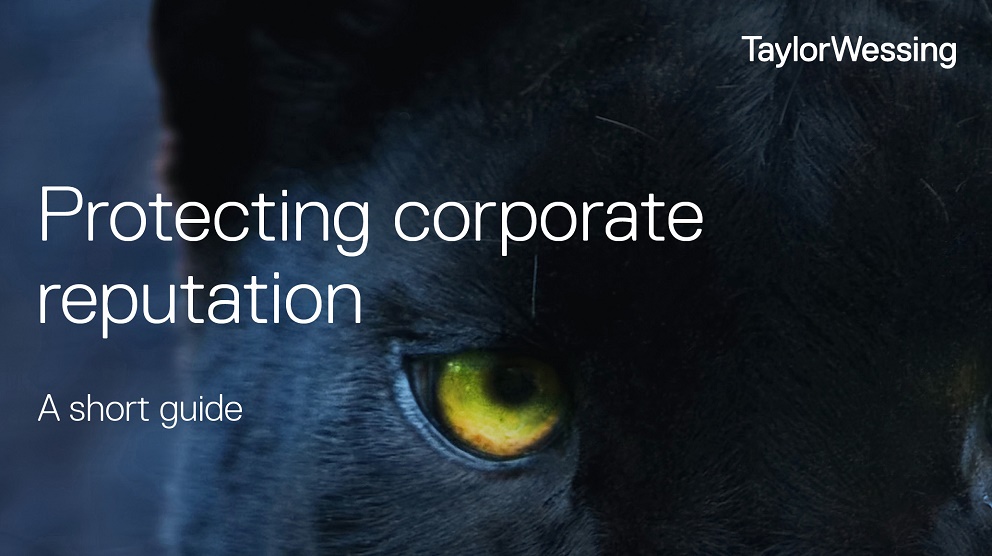 Close up photo of a black cat with a yellow eye, text reads Protecting your corporate reputation, a short guide