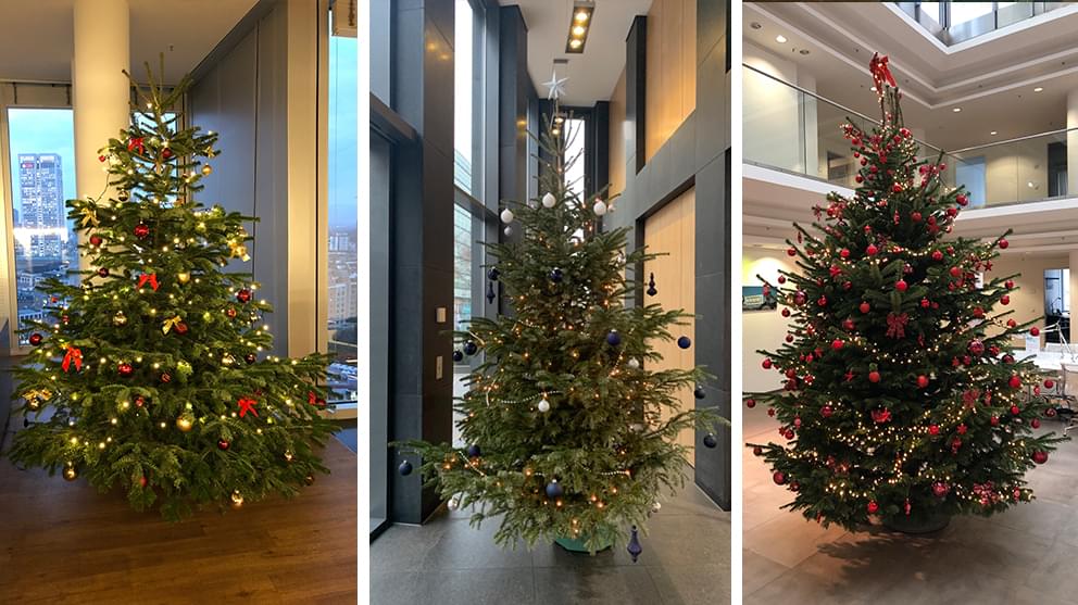 Christmas trees in German offices