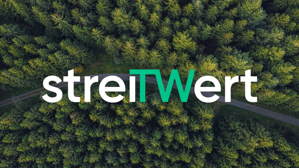 streitwert