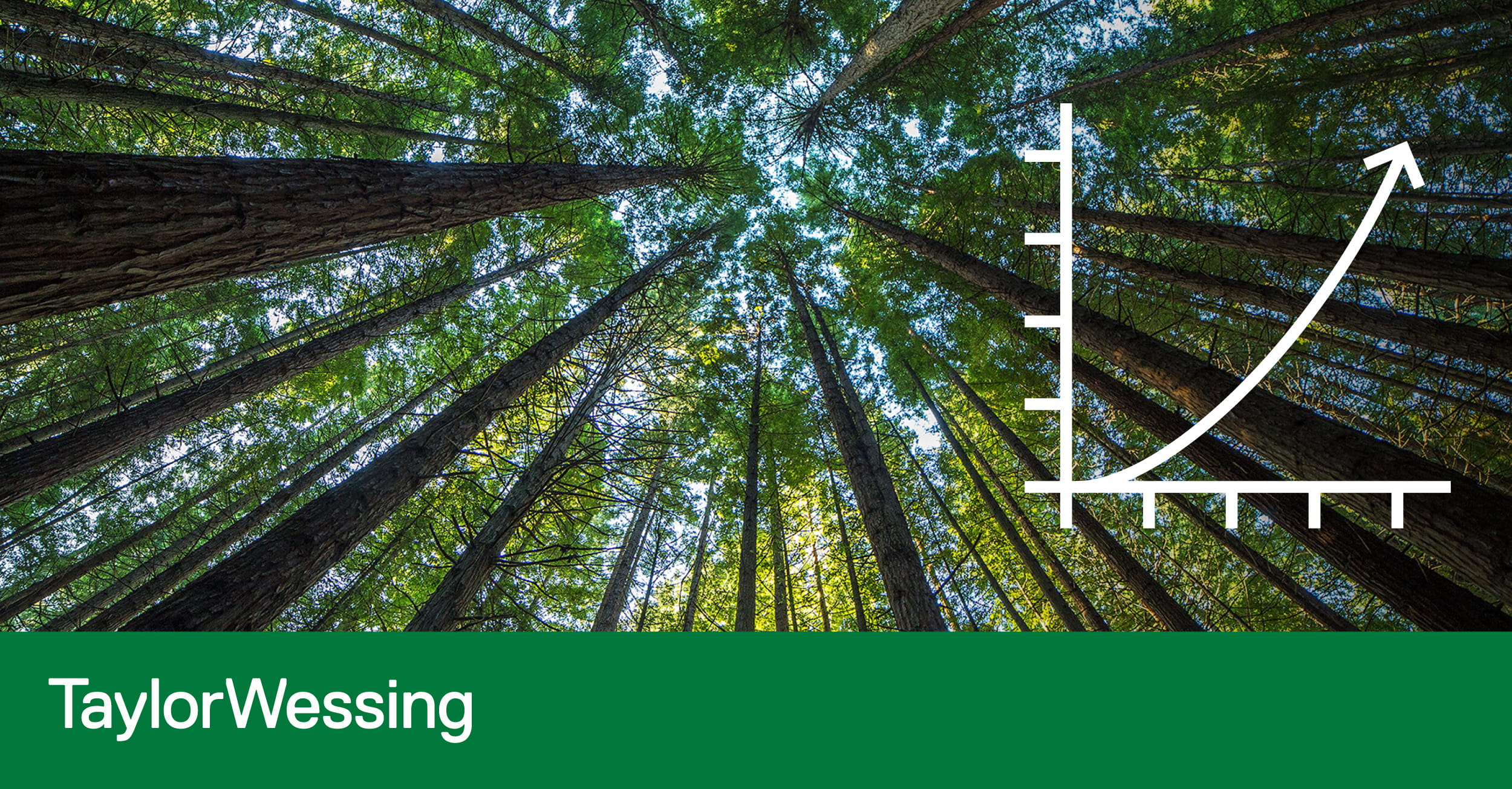 Co-Power Raises €6.4 Million to Expand Virtual Power Plants