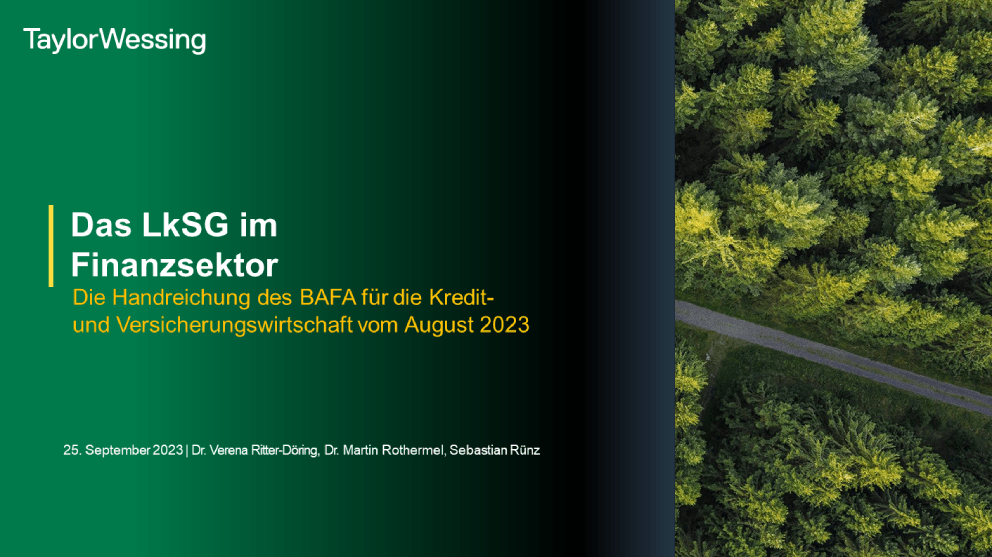 lksg-bafa-ver-ffentlicht-handreichung-f-r-die-finanzbranche